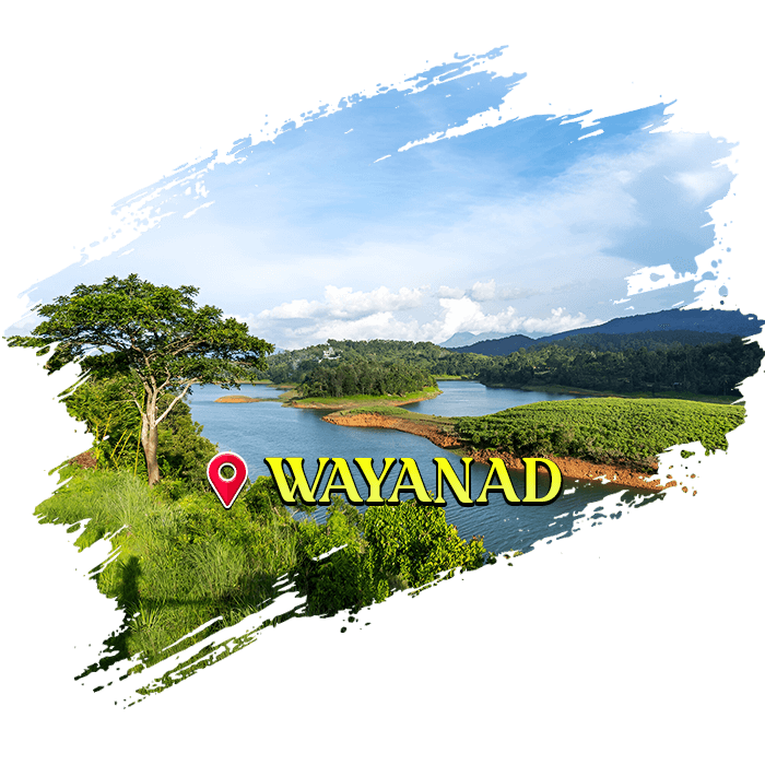 Wayanad